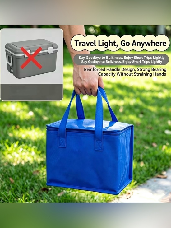 Other - Blue Insulated 6-Can Cooler Tote with Handles